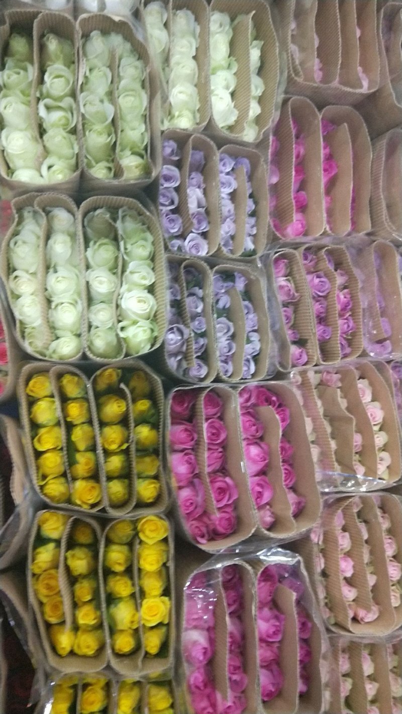 康乃馨，各类玫瑰，配花