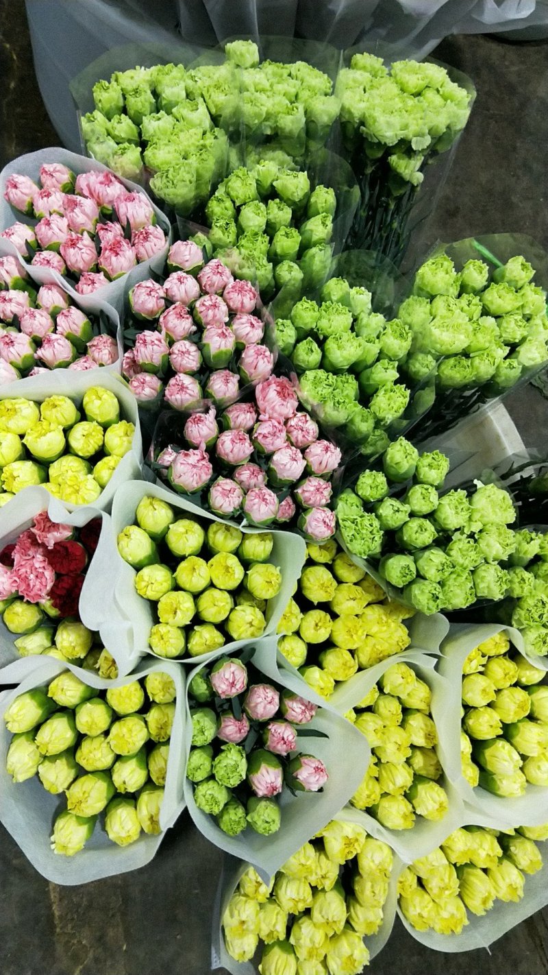 康乃馨，各类玫瑰，配花