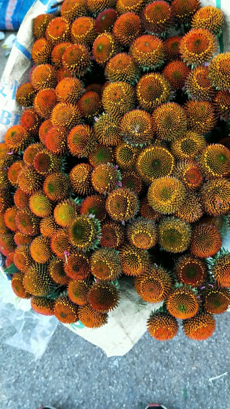 康乃馨，各类玫瑰，配花