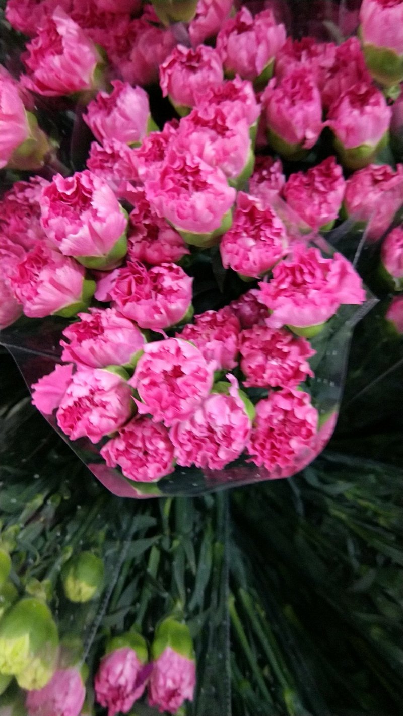 康乃馨，各类玫瑰，配花
