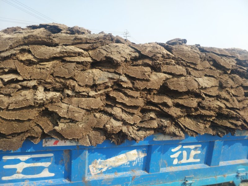 山东羊粪发酵羊粪有机肥料量大价优诚信经营