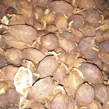 干草果