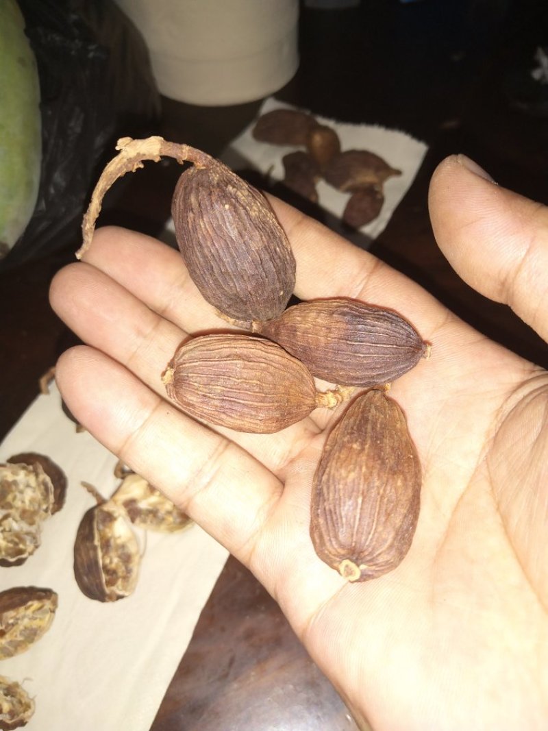 干草果