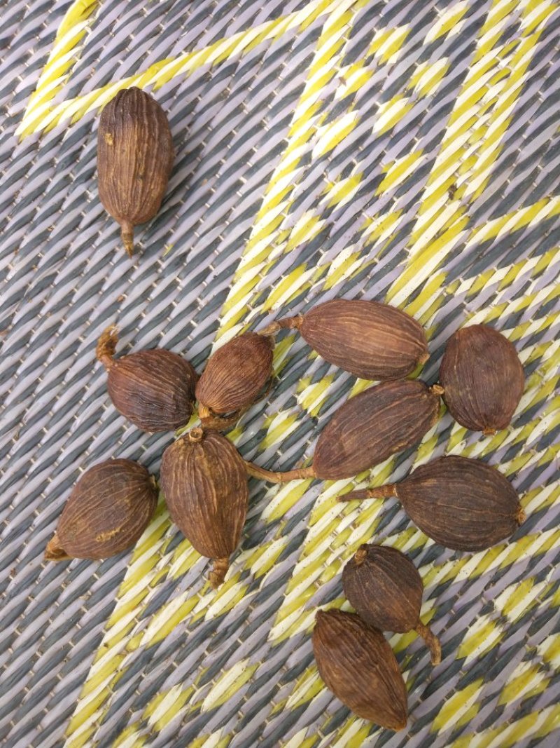 干草果