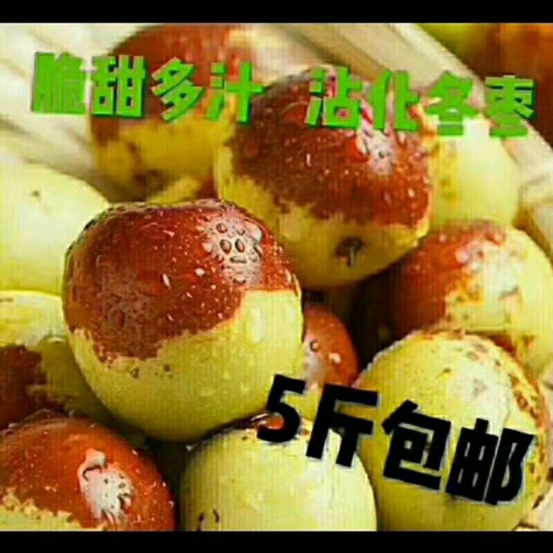 冬枣