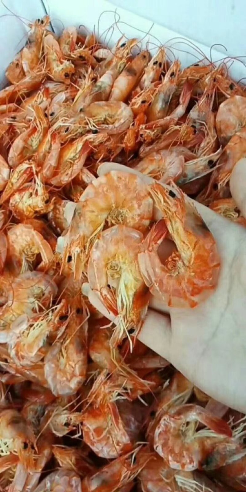 烤虾