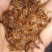 紫丁香籽，丁香种子，丁香花籽