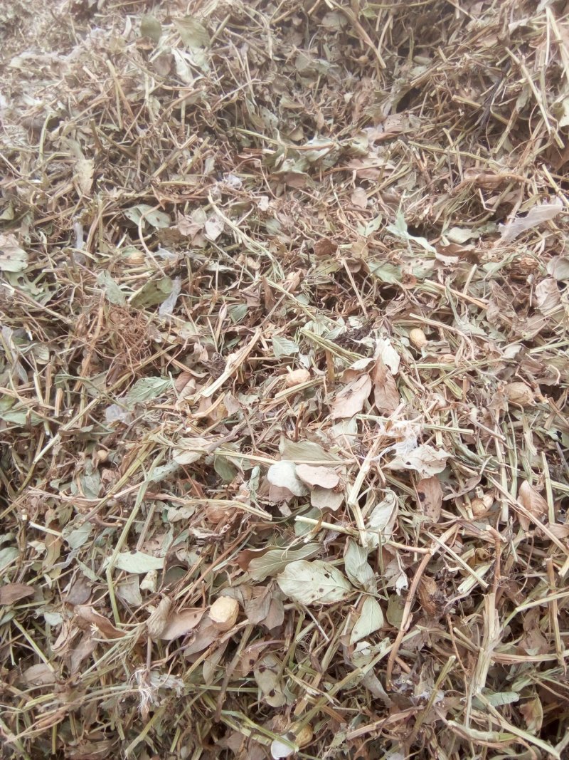 花生秧
