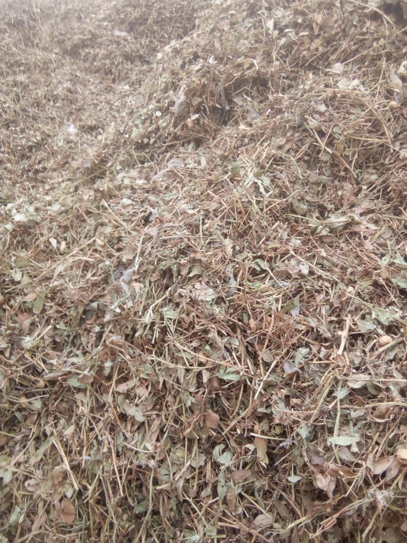 花生秧