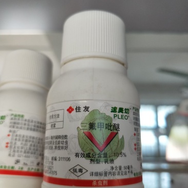 “速美效”专杀蓟马、蛾类（青虫、斜纹夜蛾等肉虫）
