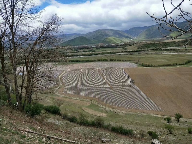 地膜机系列旋耕起垄镇压覆膜滴灌带打药多功能地膜机系列