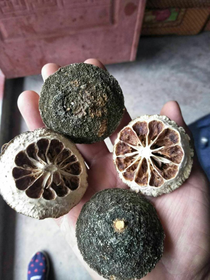 积壳