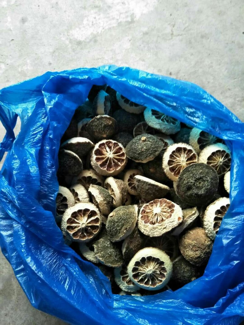 积壳