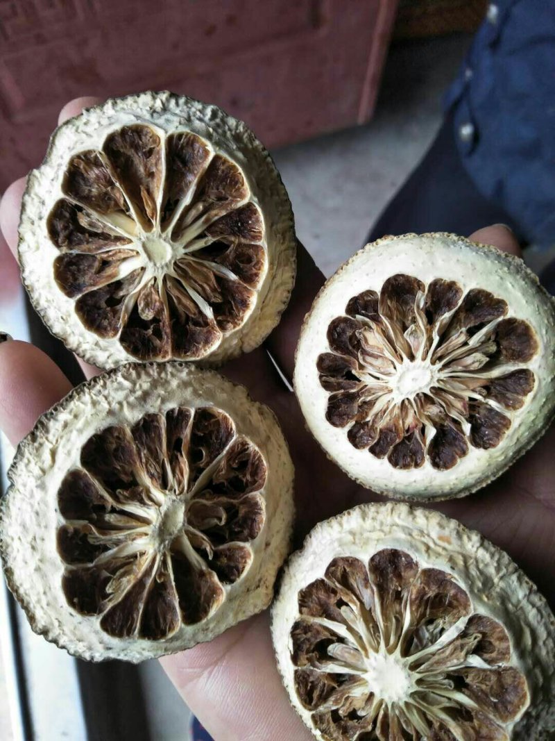 积壳