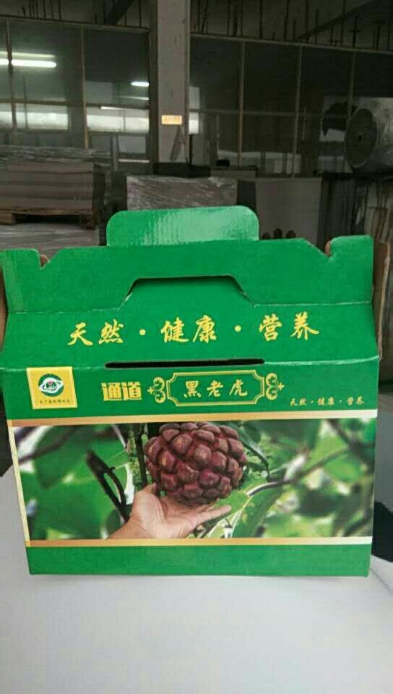 超大黑老虎（布福娜）鲜果