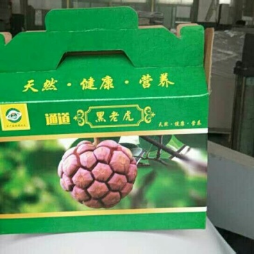 超大黑老虎（布福娜）鲜果