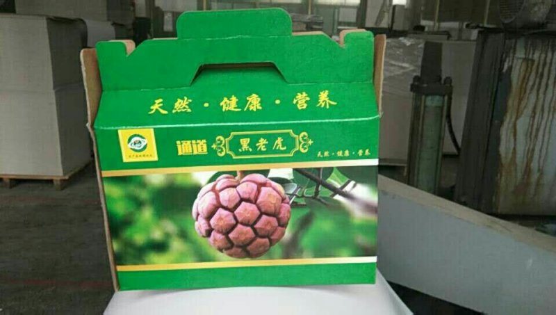 超大黑老虎（布福娜）鲜果