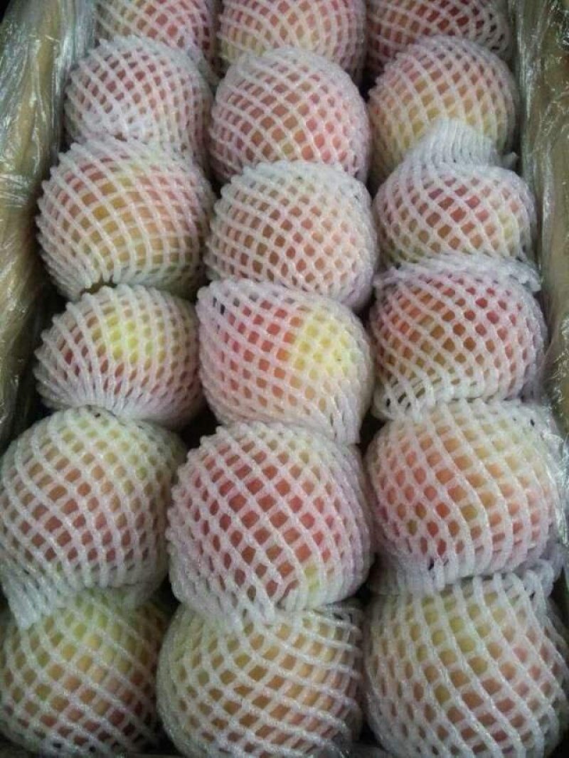 红富士大批量上市品种齐全质优价廉