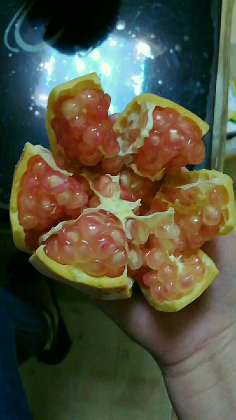 石榴