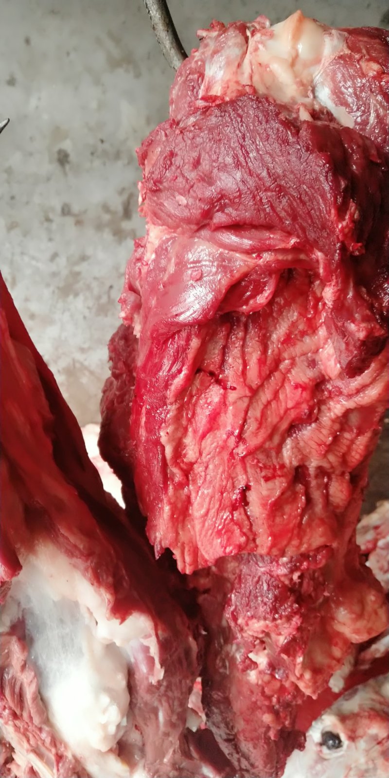 驴肉