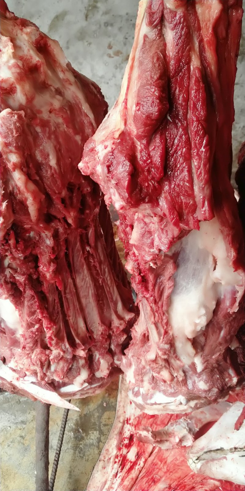 驴肉