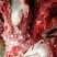 驴肉