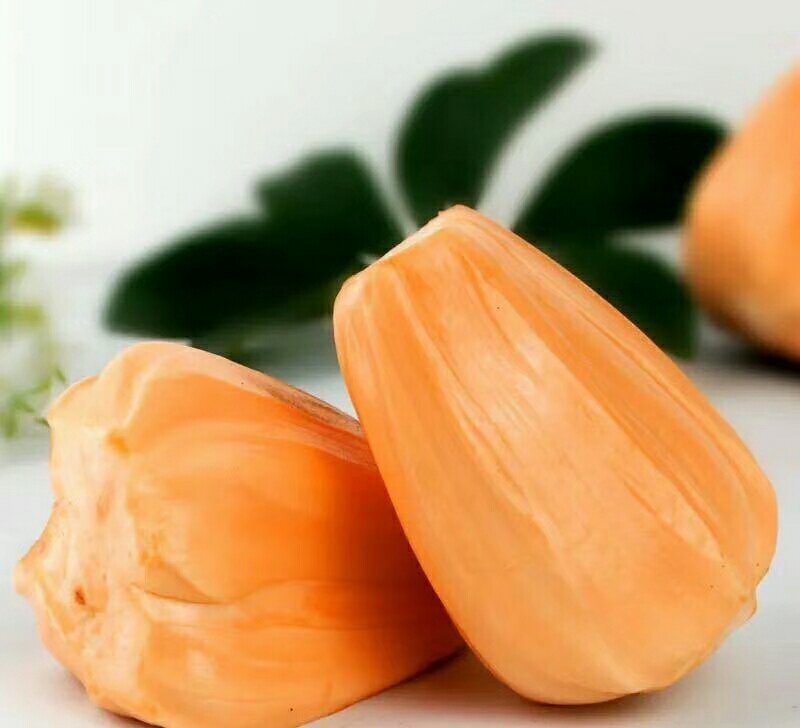菠萝蜜苗泰国红肉菠萝蜜苗