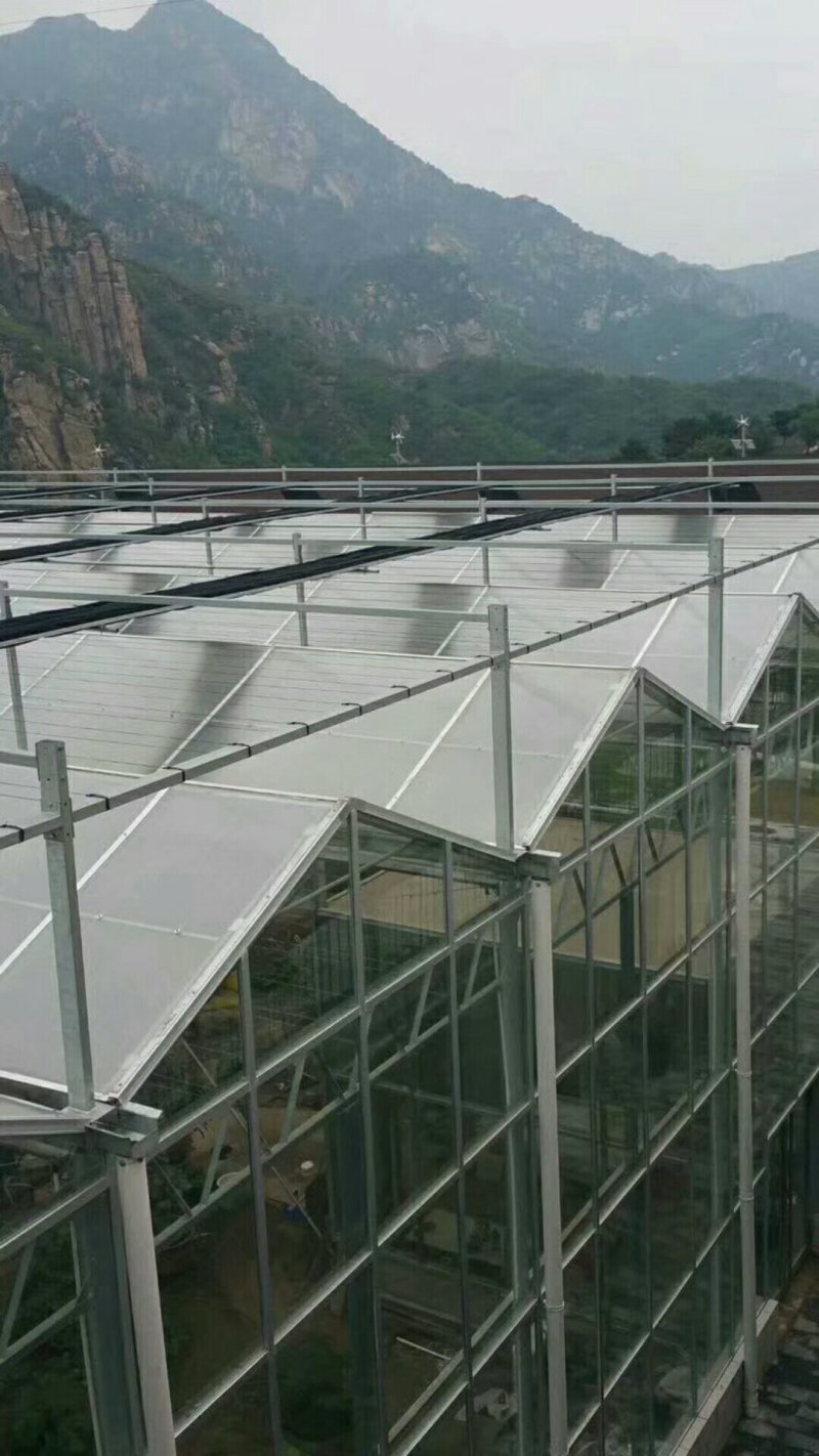 生态餐厅，玻璃温室，智能温室，玻璃大棚，阳光板温室