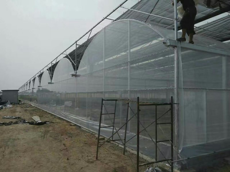 养殖大棚，春秋棚，凉棚，插地棚，厂家建设