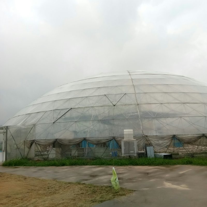 鸟巢温室，球形温室，异形温室，荷兰温室，温室建设，温室