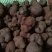 精品块菌，大，中，小都有，批发价。