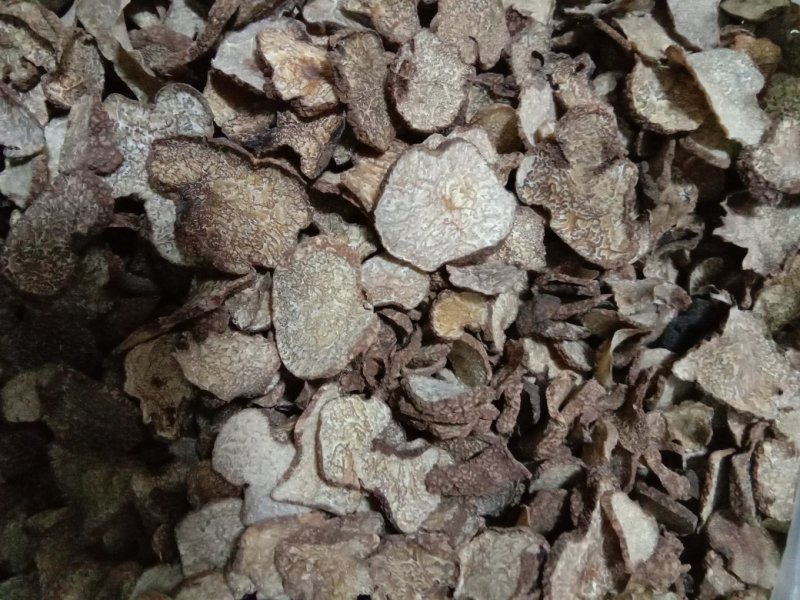精品块菌，大，中，小都有，批发价。