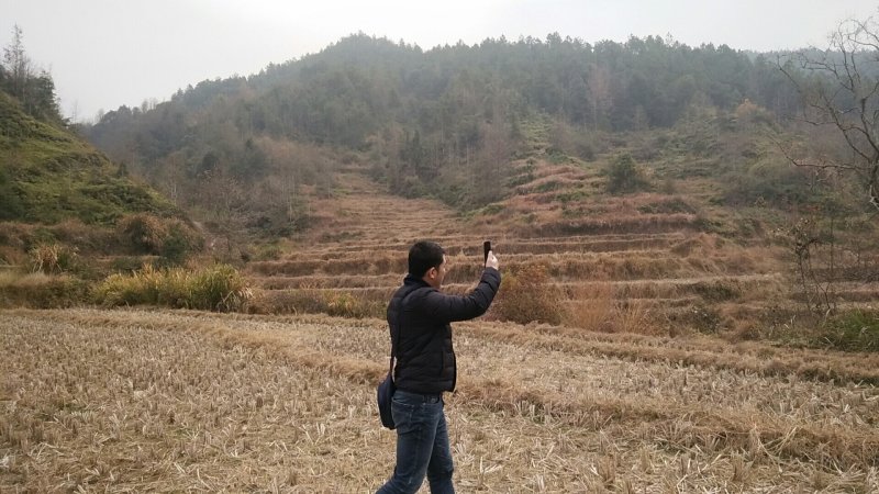 山地，林地，适合养殖，果蔬耕种
