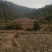 荒山