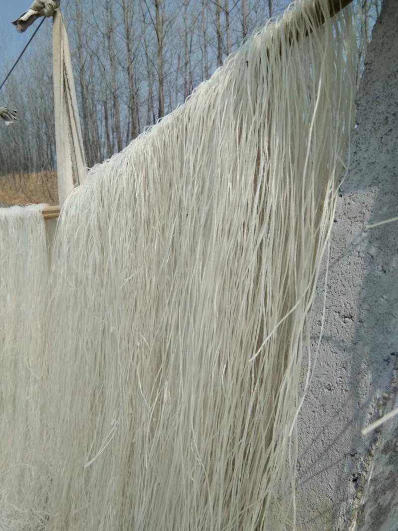 红薯粉条