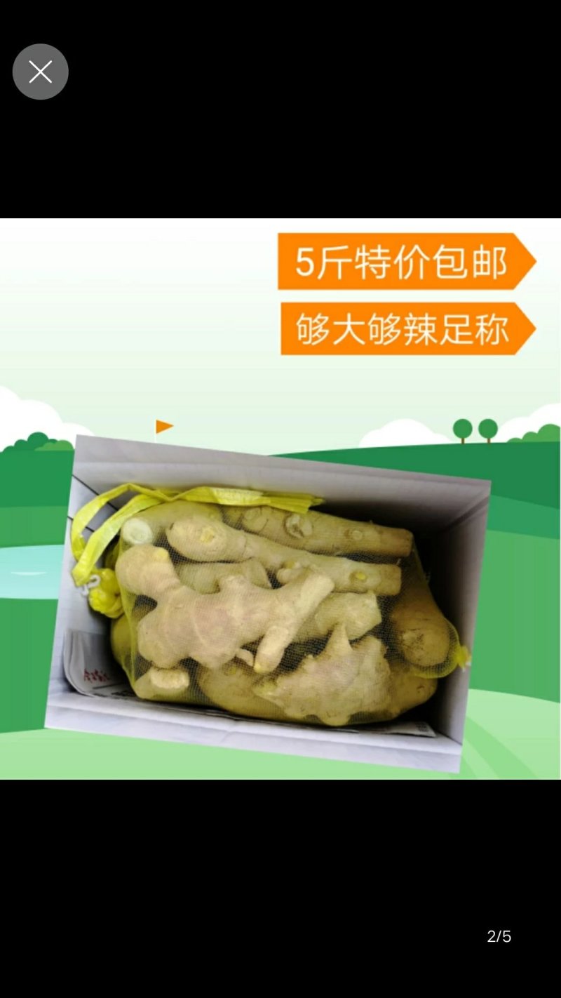 生姜