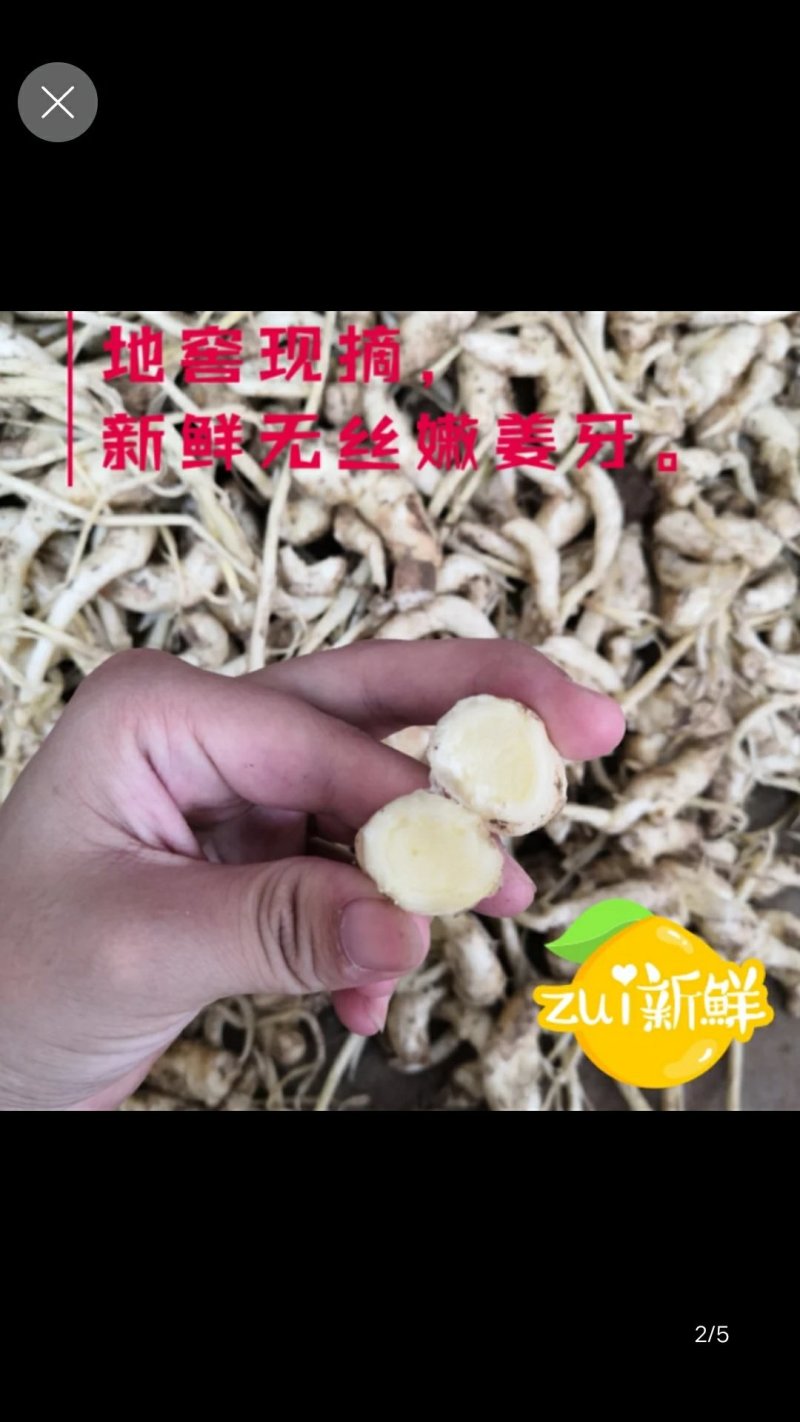 嫩姜芽