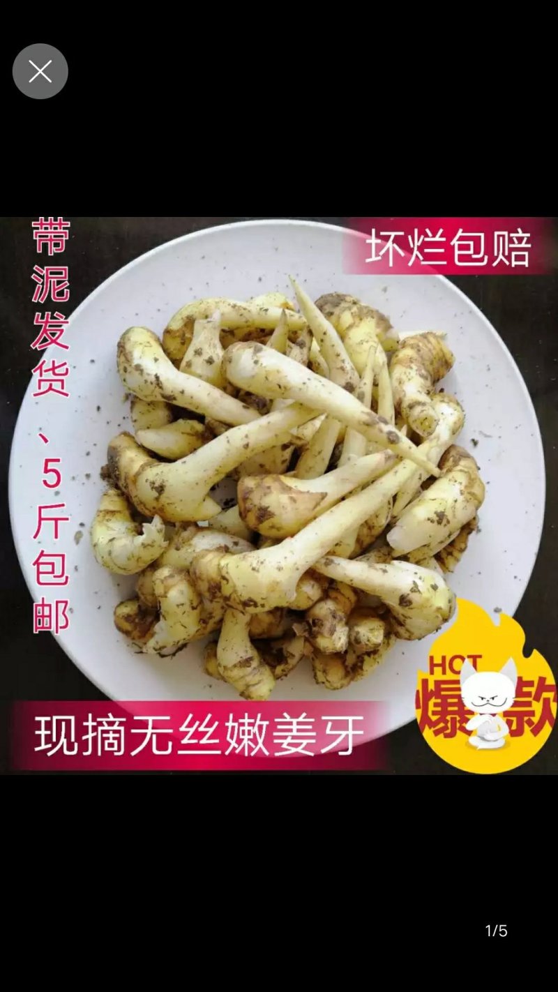 嫩姜芽