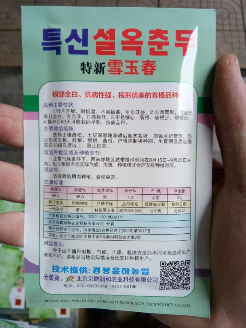 长白萝卜种子杂交韩国萝卜种子（雪玉春）