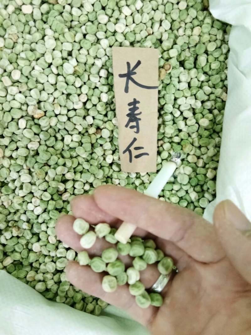 长寿仁豌豆种子（食鲜荚）甜脆豌种子高架豌豆种子长寿人豌豆