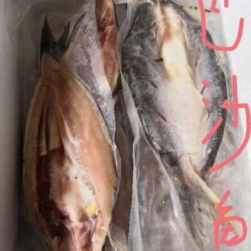 巴沙鱼