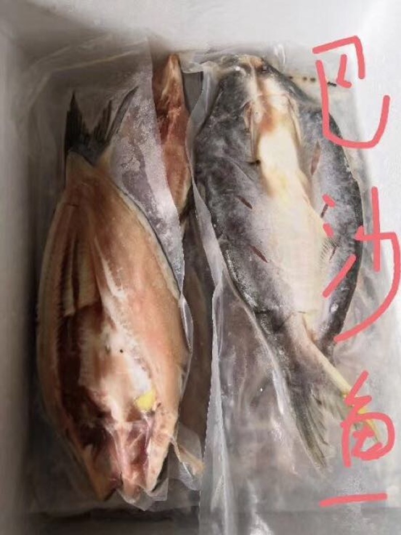 巴沙鱼