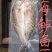 巴沙鱼