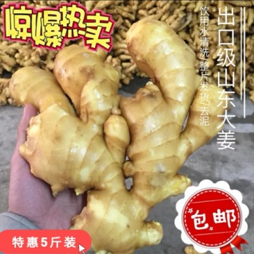 姜
