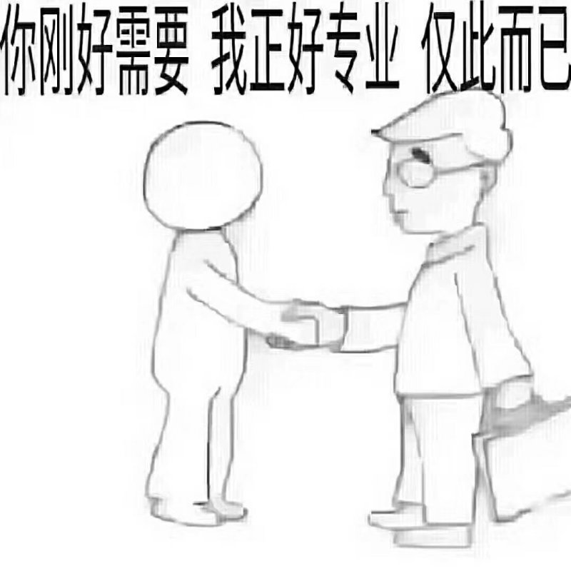 大蒜种子，蒜苗种子，大吨位供货，纯手工精心分瓣，保证质量