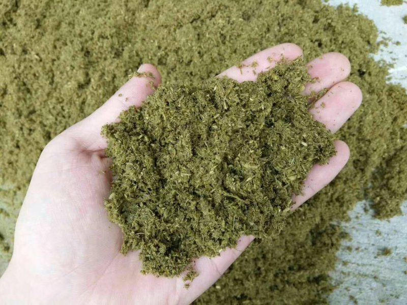 八鹰2023新款蛋白桑粉碎机厂家直销质量保证