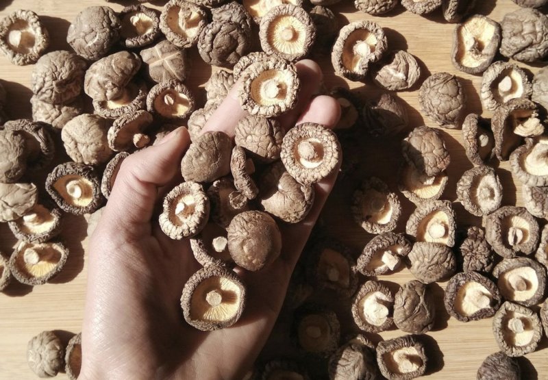 量大包邮食用菌香菇2-3庆元干香菇农家种植