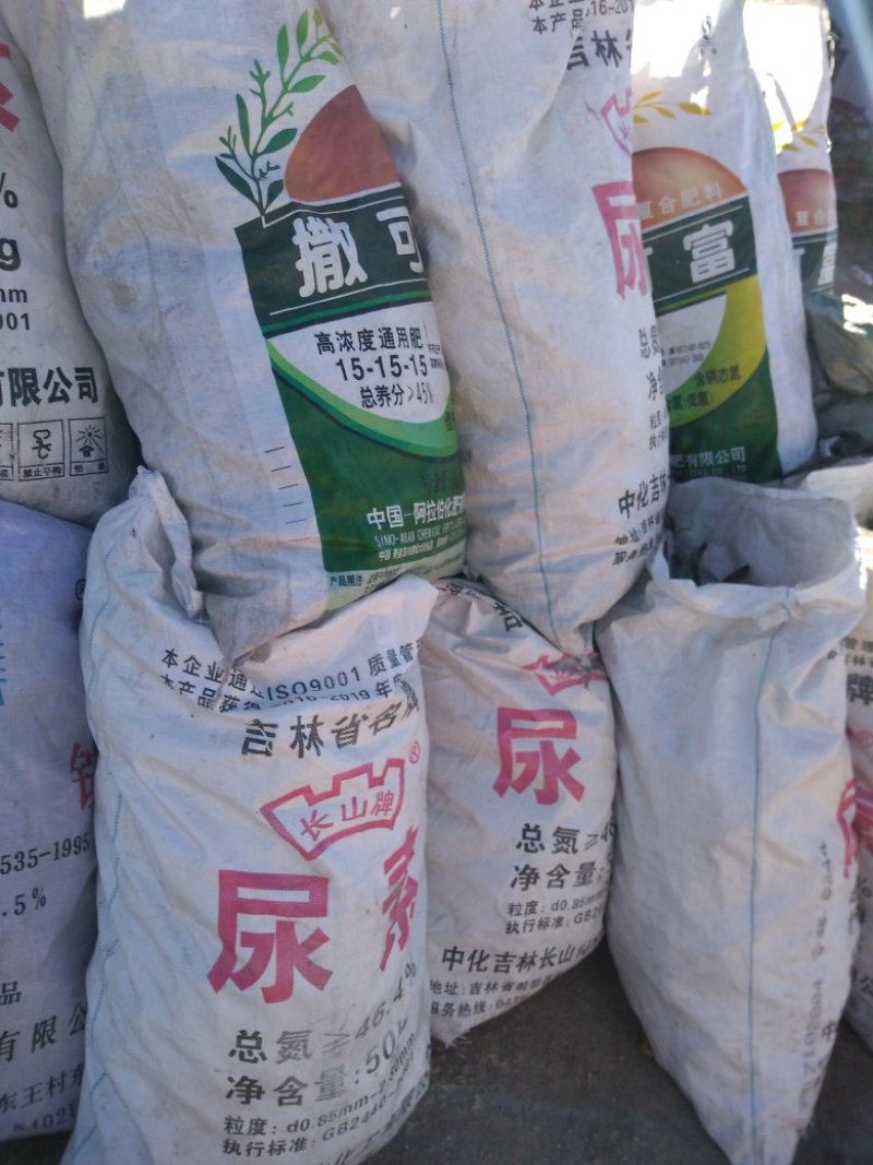 皂角
