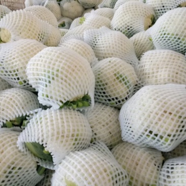花菜