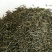 波斯菊玉门波斯菊波斯菊种子